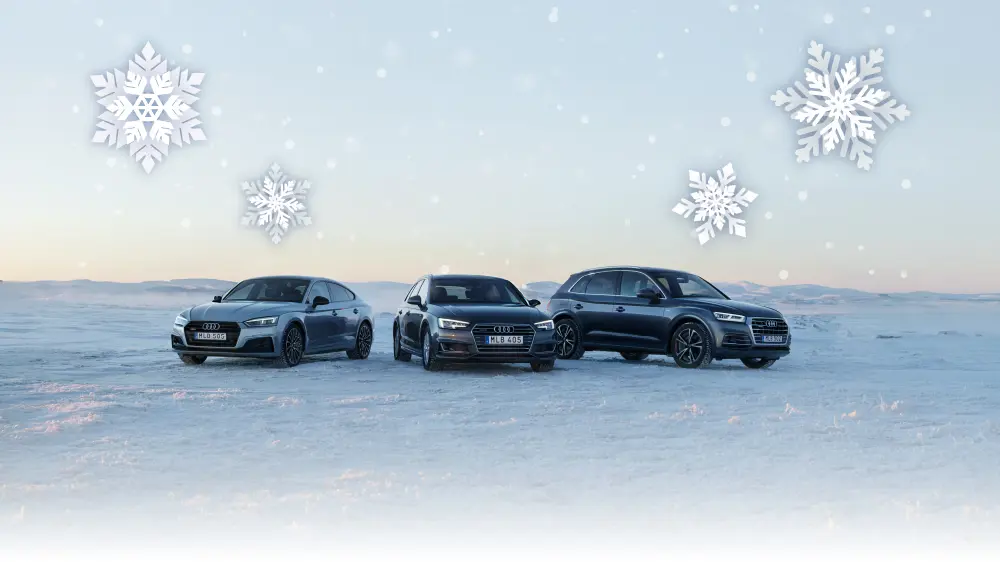 DS 2695 Audi Winter Event Lifestyle Assets Promo Scrolling Banner 1000X562 Desktop