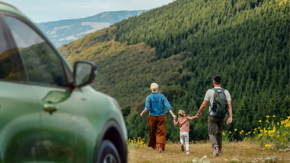 Components Featured Content Block Desktop 1000X562 1 Ford Spring Check