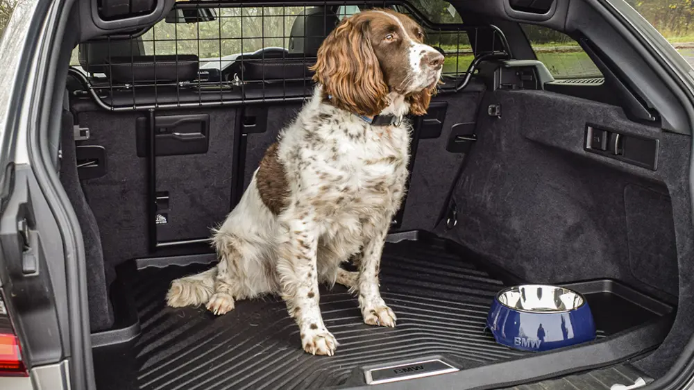 BMW Pet pack content block