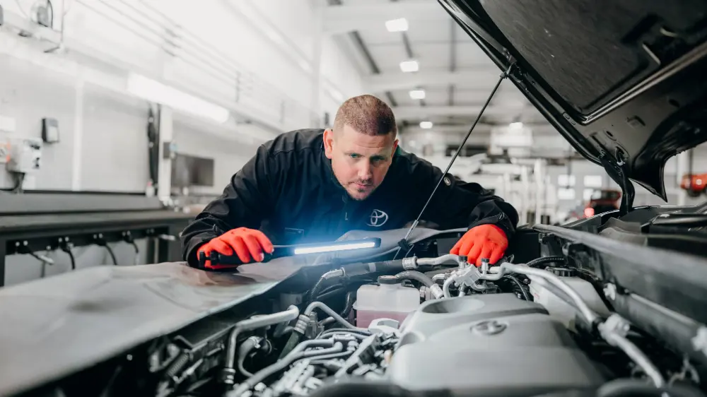 Adobe Express File (13)