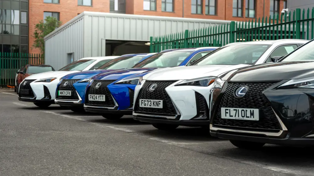 Adobe Express File (15)