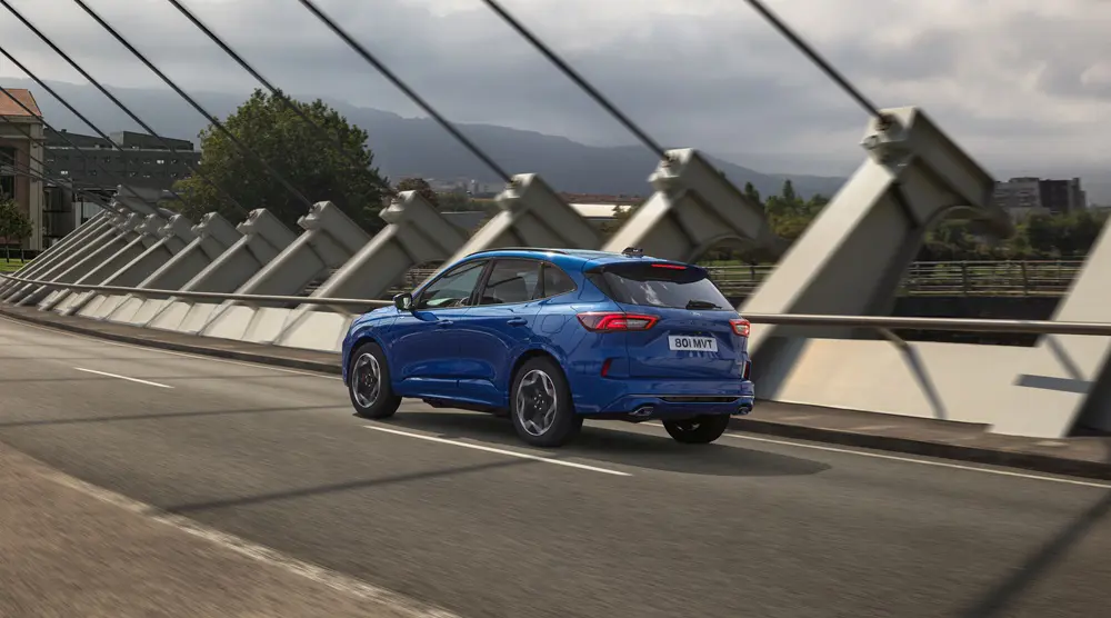 STL 03 CX482 MCA Ext Rr 34 Dynamic