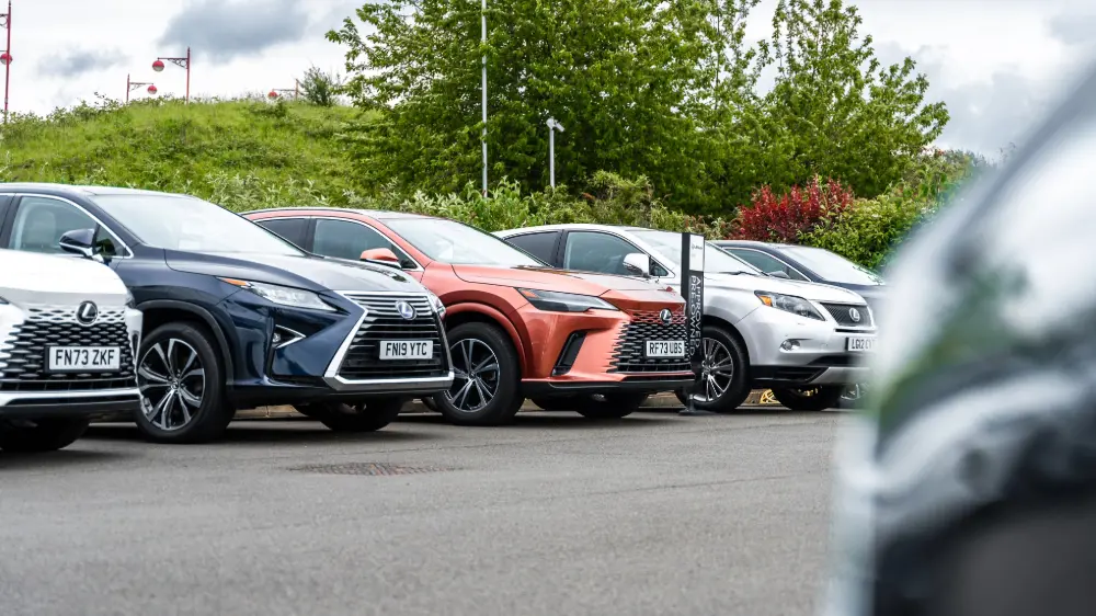 Adobe Express File (16)