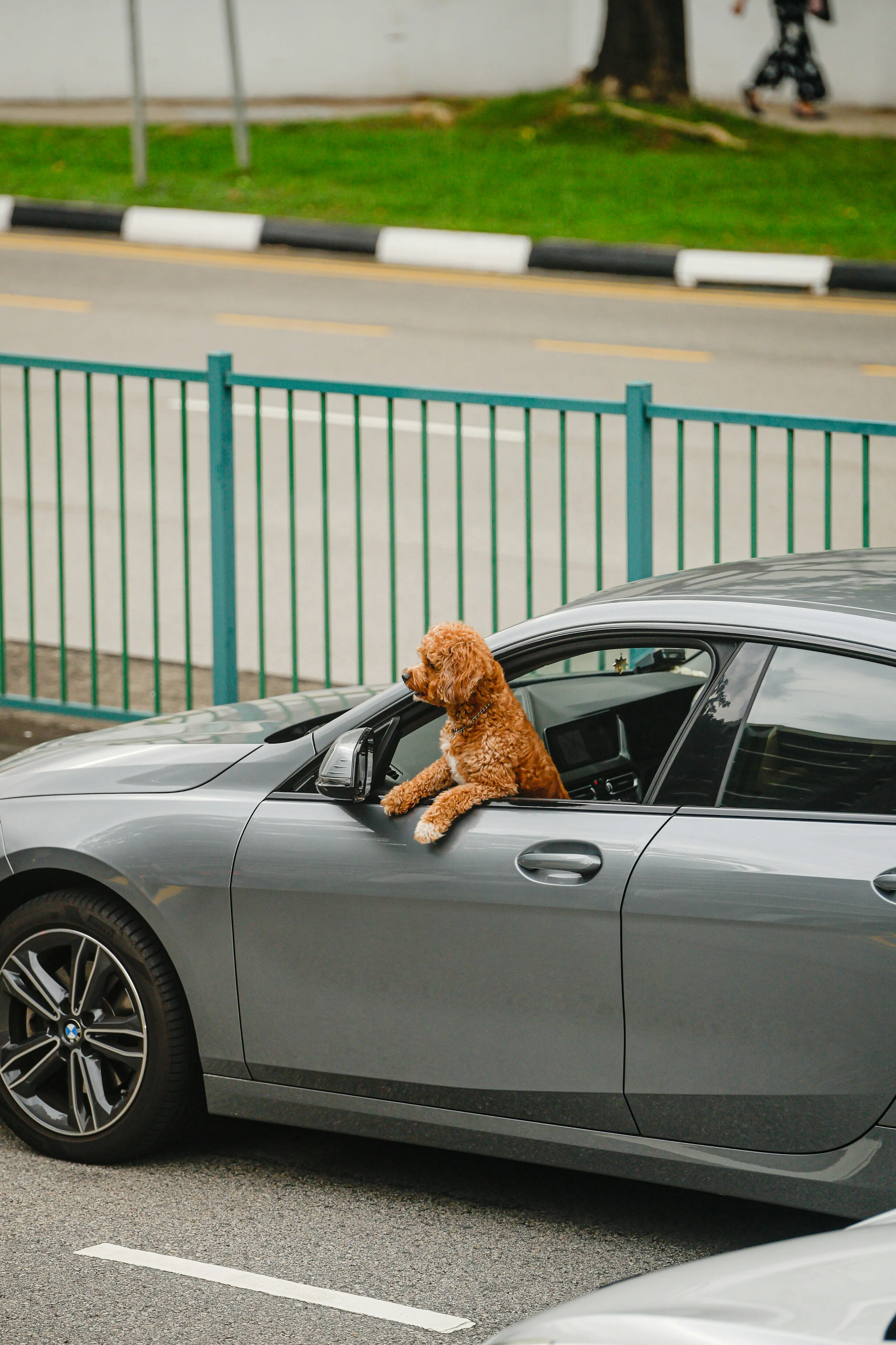 Milin John 47M70kdga5o Unsplash