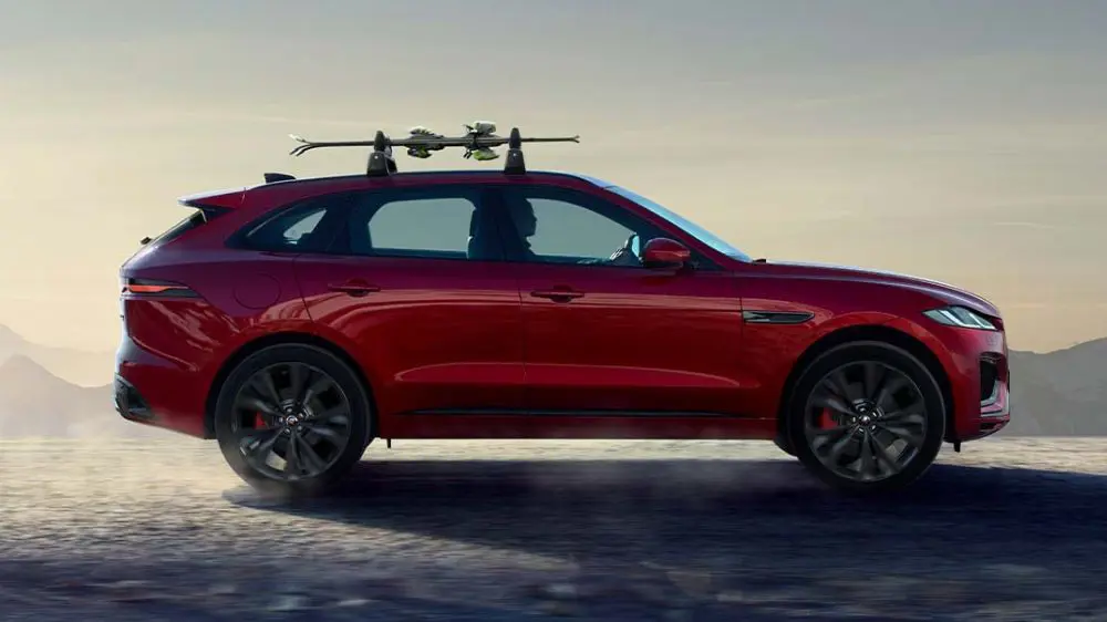 Jaguar Winter Check